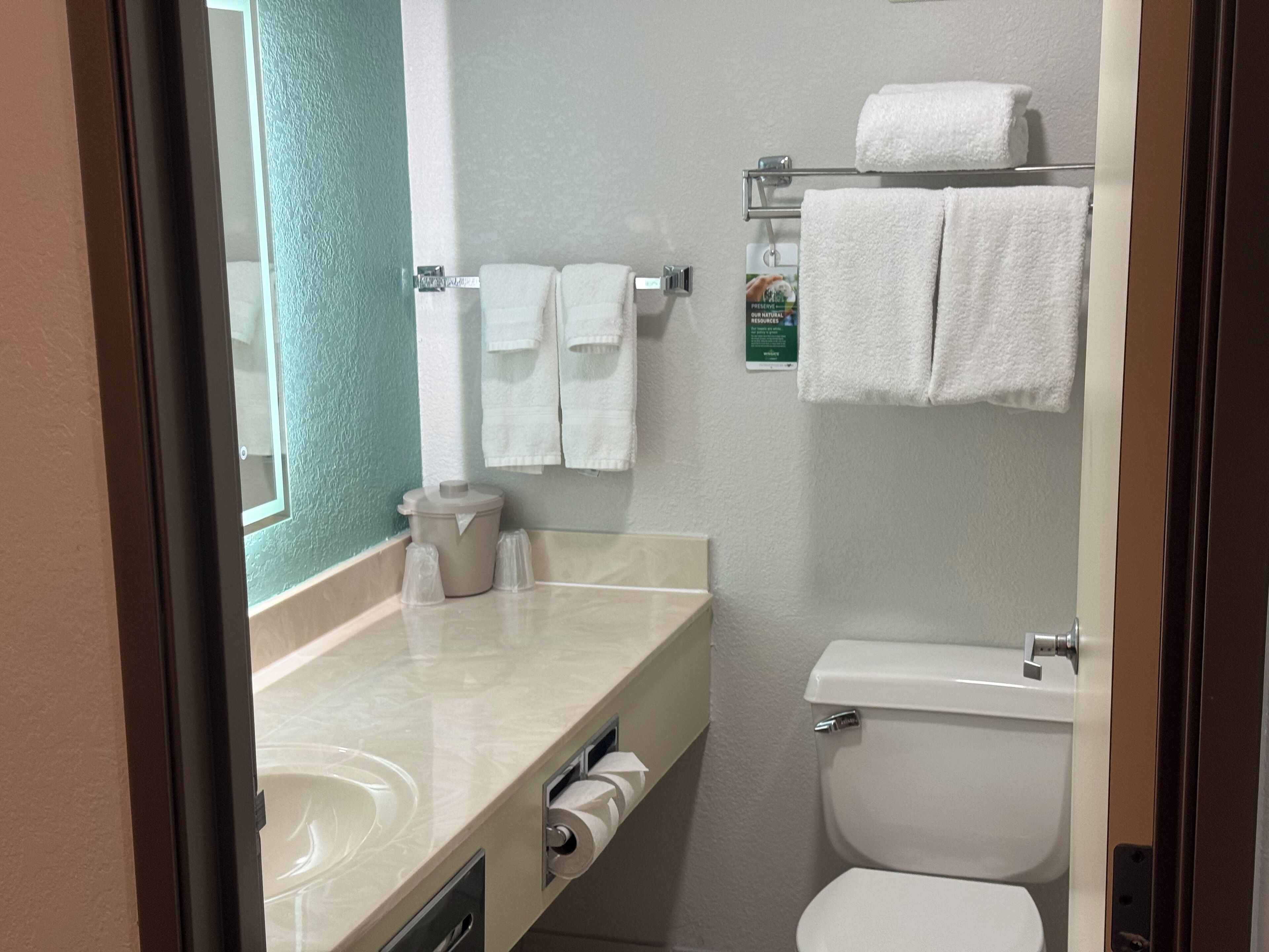 A bathroom with a sink, toilet, and towel rack.