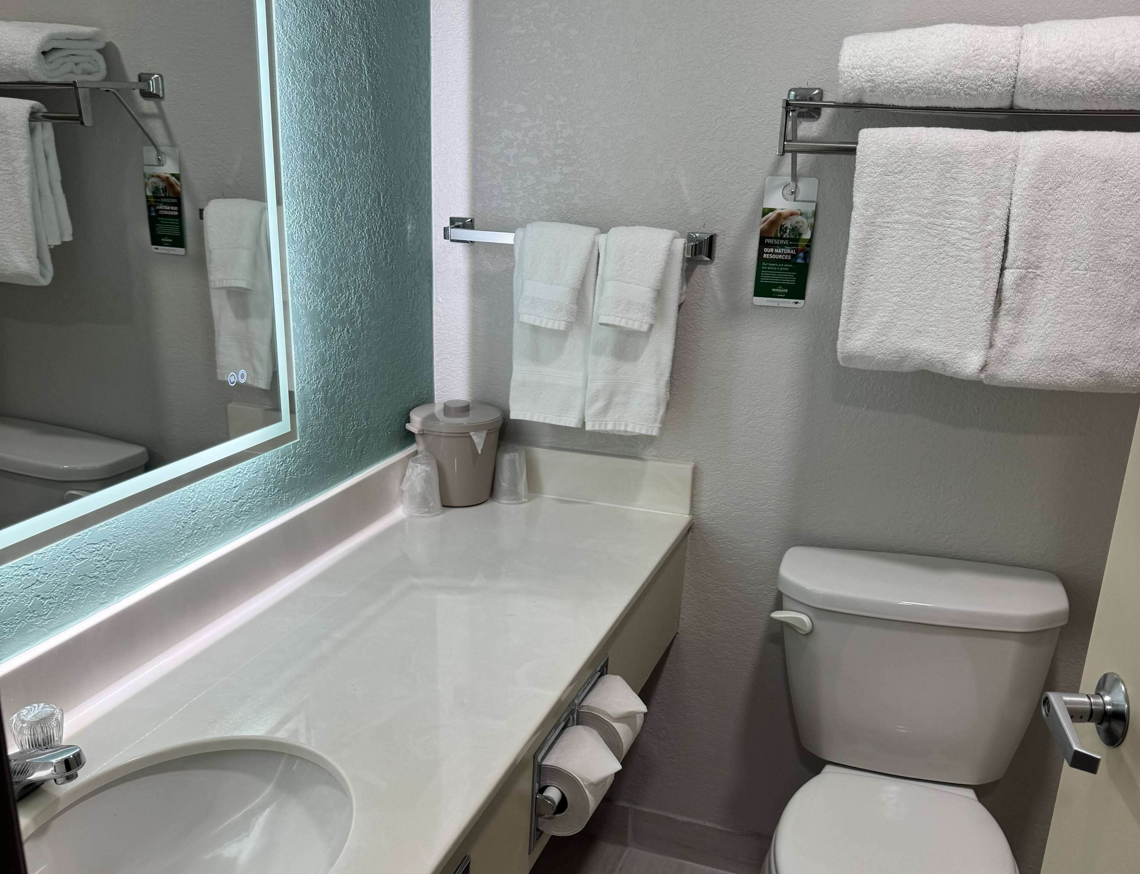 combined shower/bathtub, free toiletries, hair dryer, towels