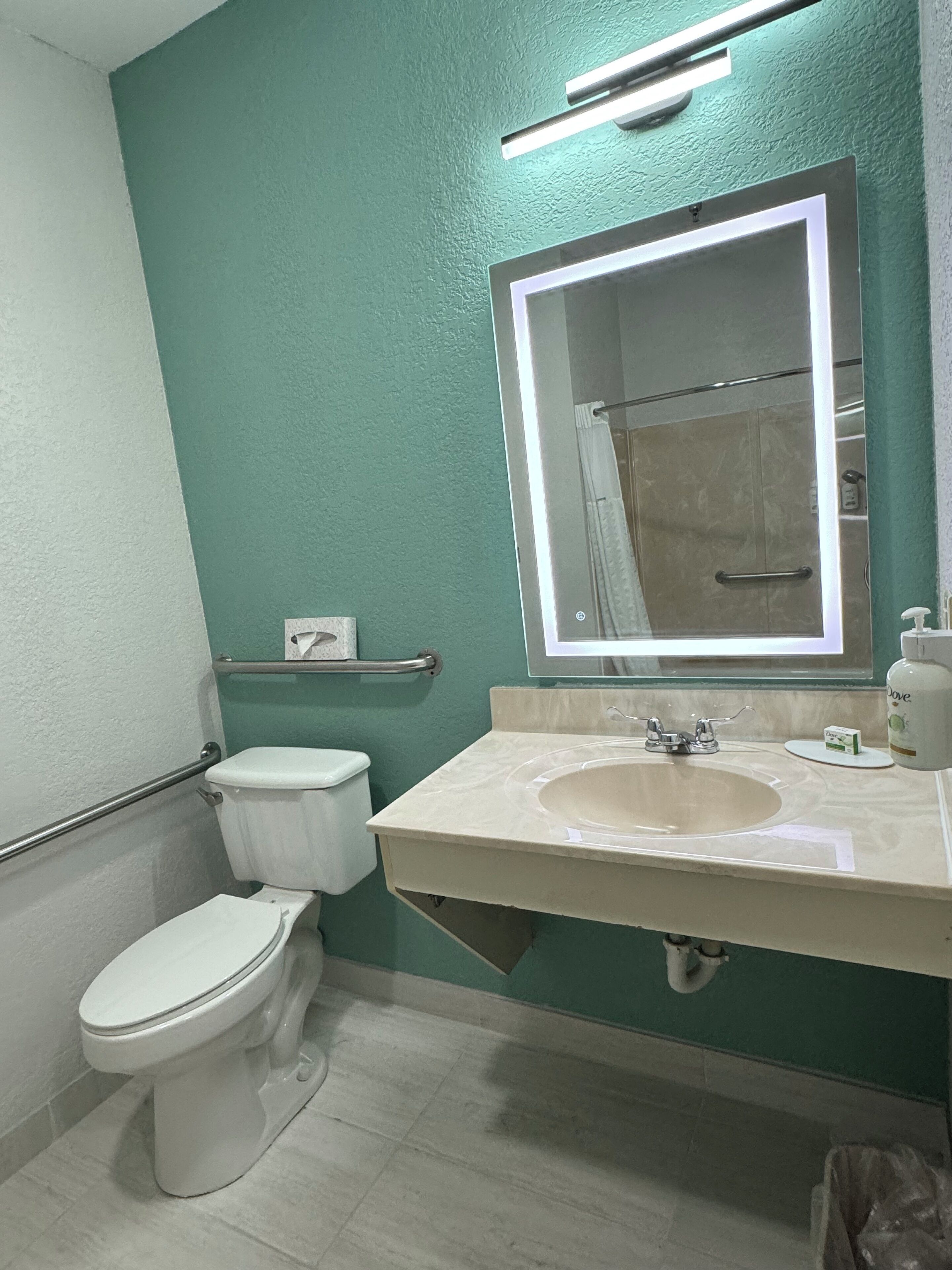 Un baño con inodoro, lavamanos y espejo.