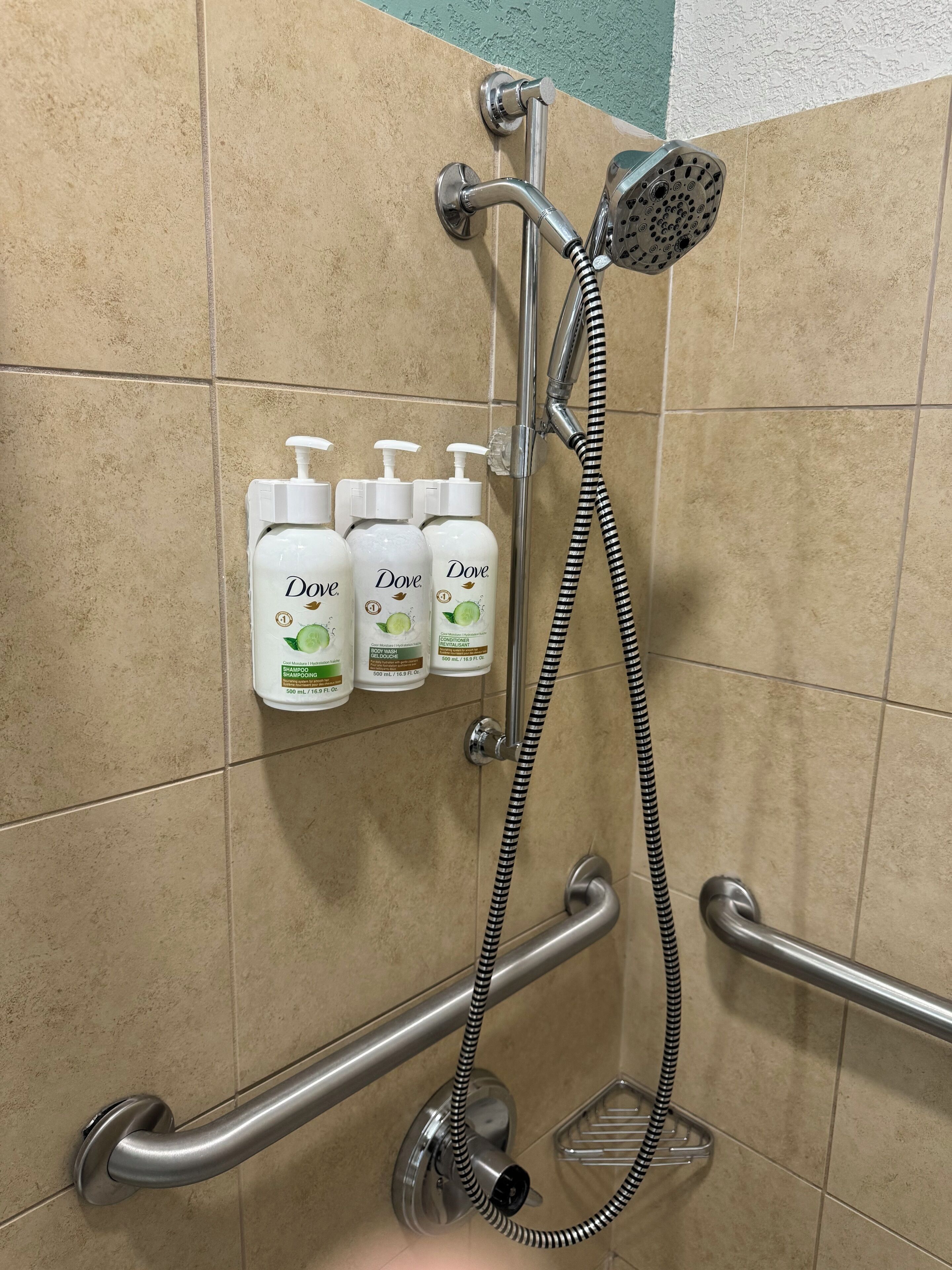 A shower area with three Dove body wash bottles, a handheld showerhead, and grab bars.
