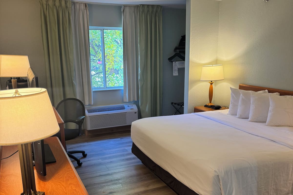 Room, 1 King Bed, Non Smoking | 1 bedroom, premium bedding, desk, blackout drapes