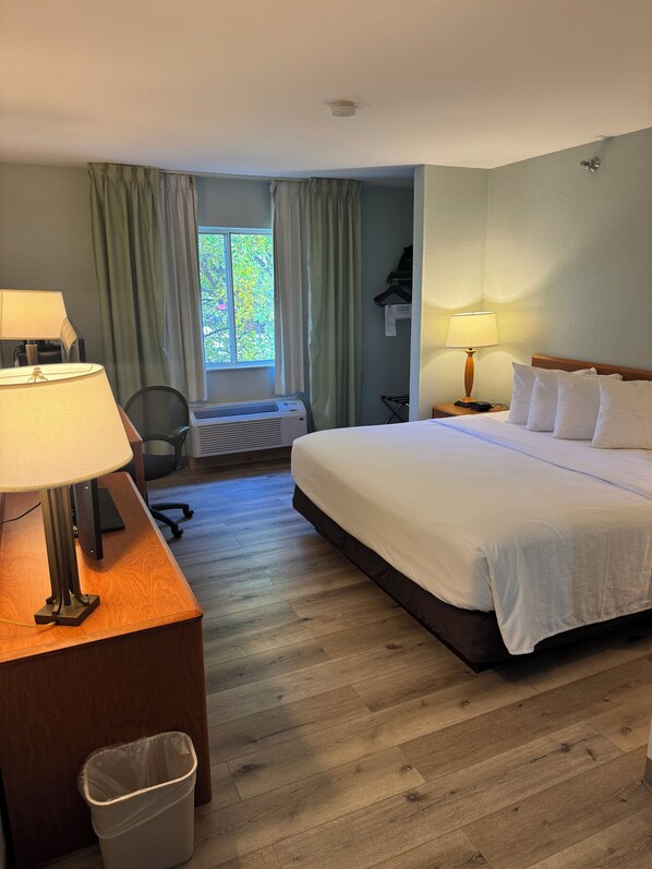 A hotel room with a bed, two bedside tables with lamps, a desk with a lamp, a chair, a waste bin, and a window with curtains.