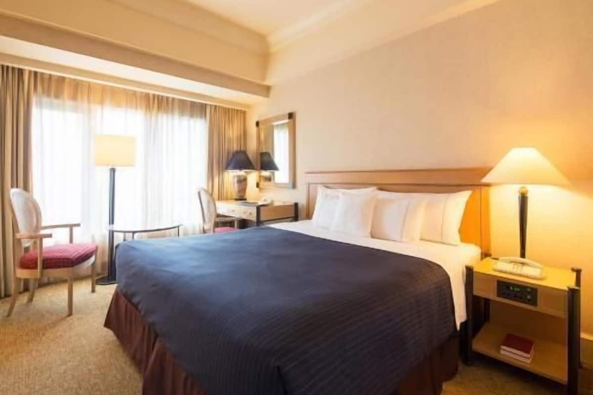 Minibar, Zimmersafe, Schreibtisch, Verdunkelungsvorhänge