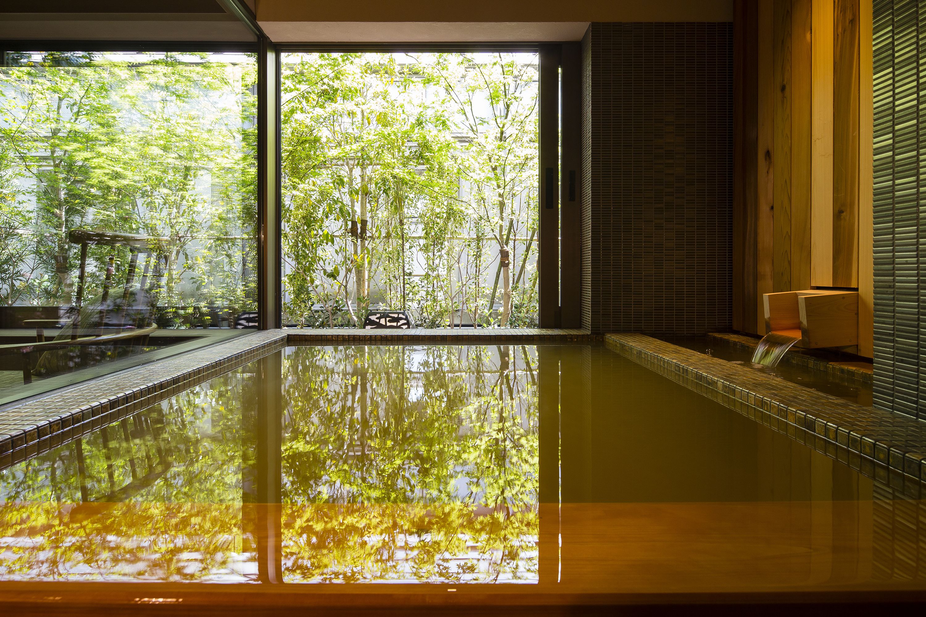 A modern indoor pool with a view of a lush garden through large windows.