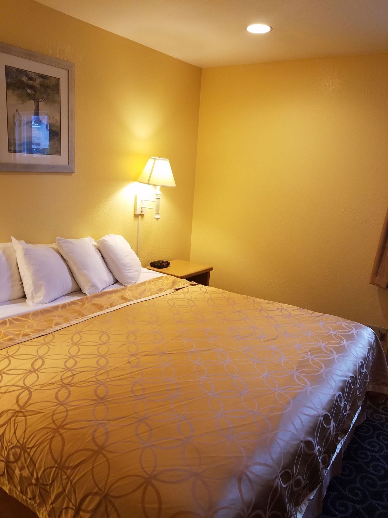 In-room safe, desk, blackout curtains, iron/ironing board