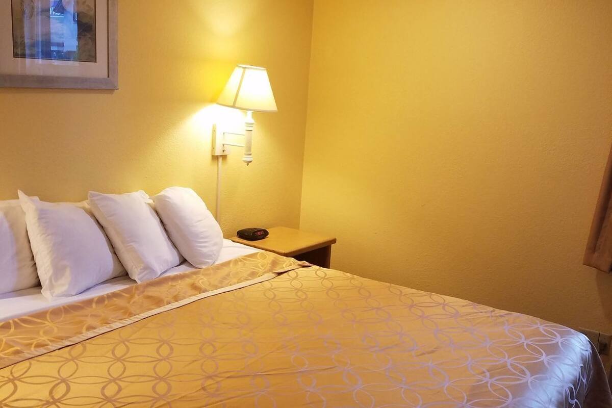 A hotel room with a bed, a nightstand, a lamp, and a framed picture on the wall.