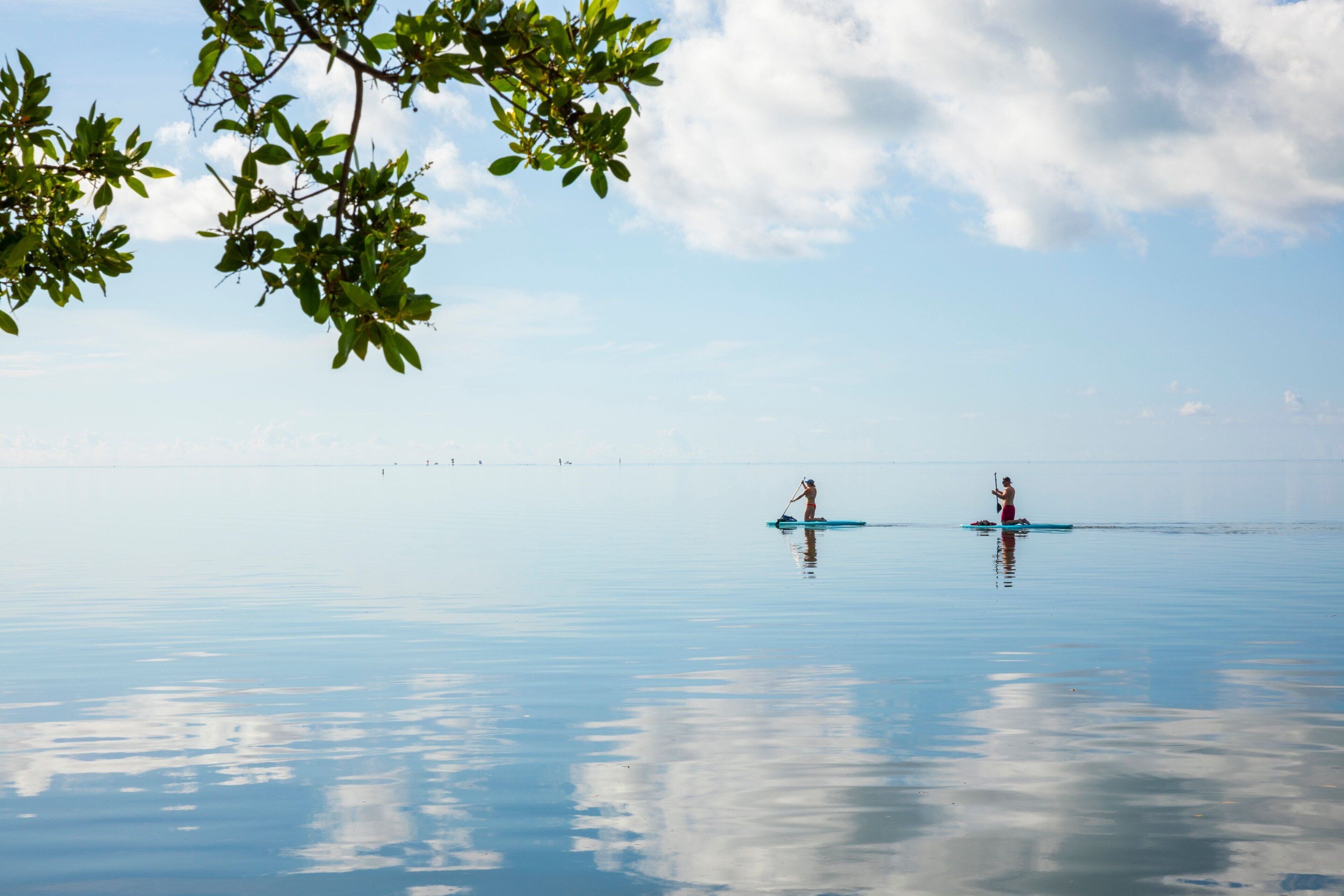 A calm body of water with two paddleboards, clear sky, and distant shoreline.
