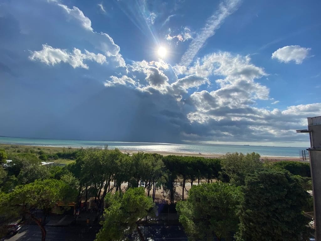 En kustvy med en strand, träd och en klar himmel.