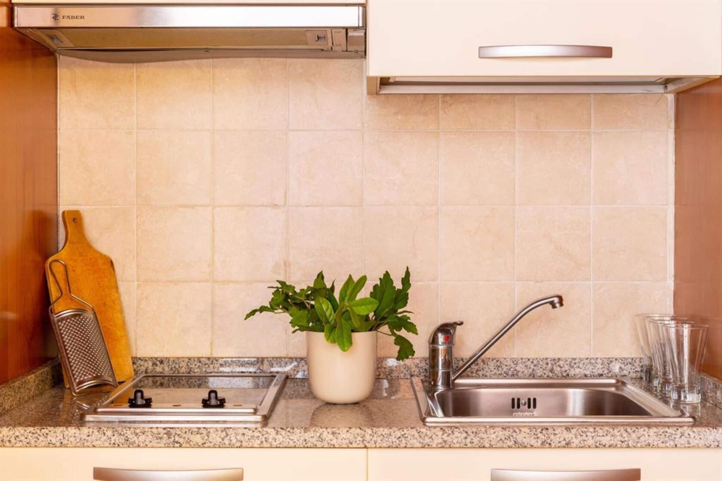 A kitchen with a stainless steel sink, a plant, and a grater on the counter.