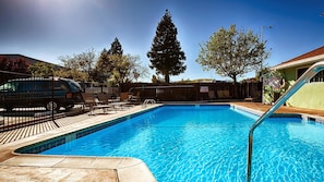 Outdoor pool, pool loungers