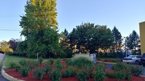 A landscaped area with red flowers and a large tree. - Super 8 by Wyndham New Cumberland (New Cumberland)
