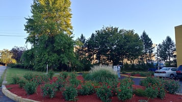 Garden view