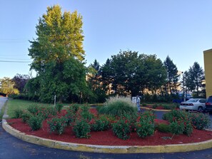 Garden view