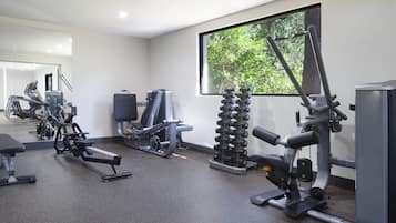 A modern gym with various exercise equipment, a large mirror, and a window with a view of trees.