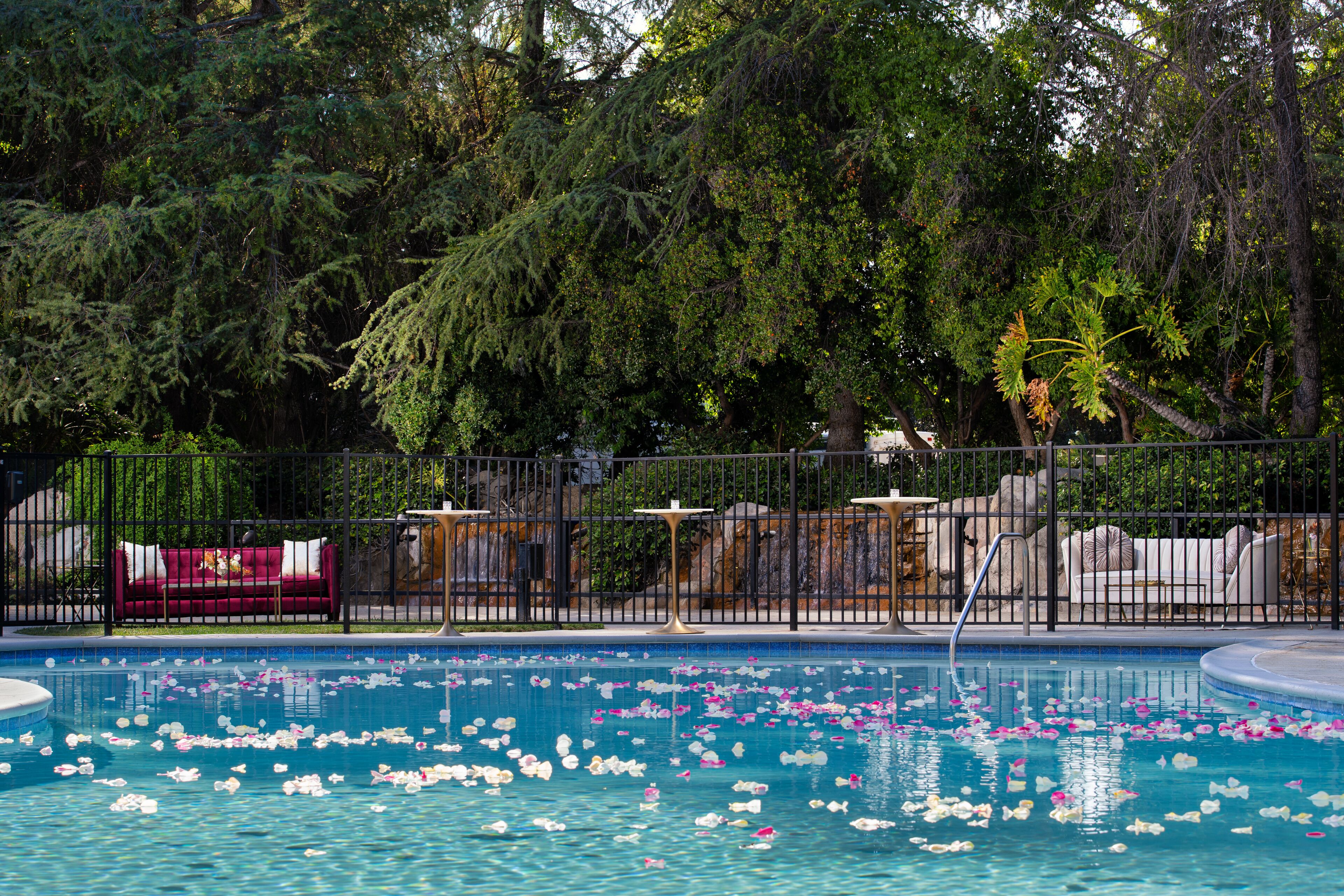 outdoor pool, pool umbrellas, pool loungers