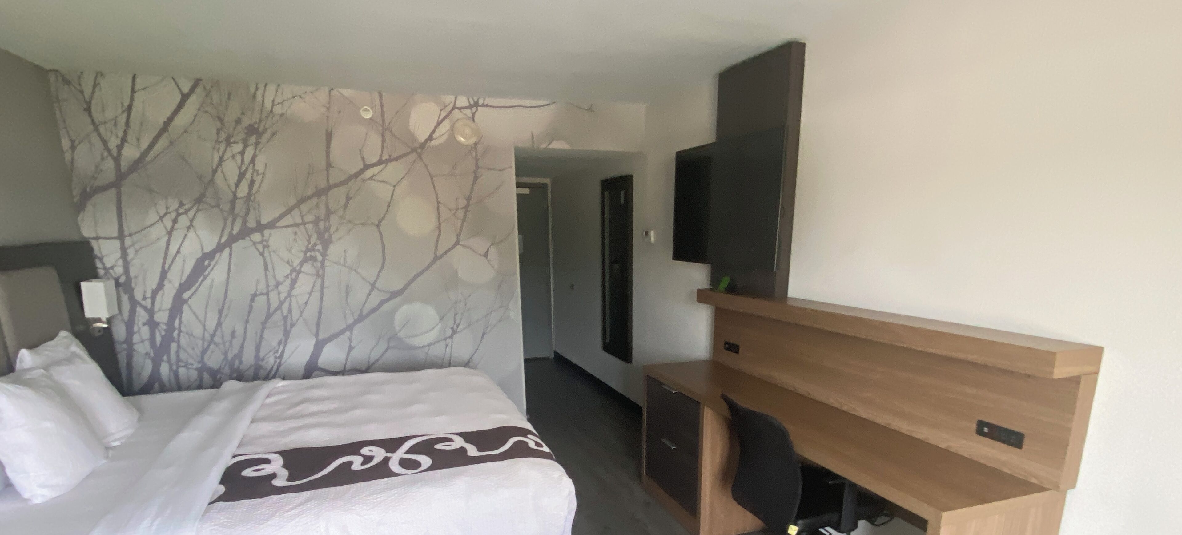 Une chambre d’hôtel avec un lit, un téléviseur fixé à un meuble en bois et un mur décoré d’un motif représentant une branche d’arbre.
