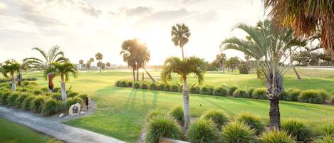 A golf course with a pathway, palm trees, and well-maintained grass.