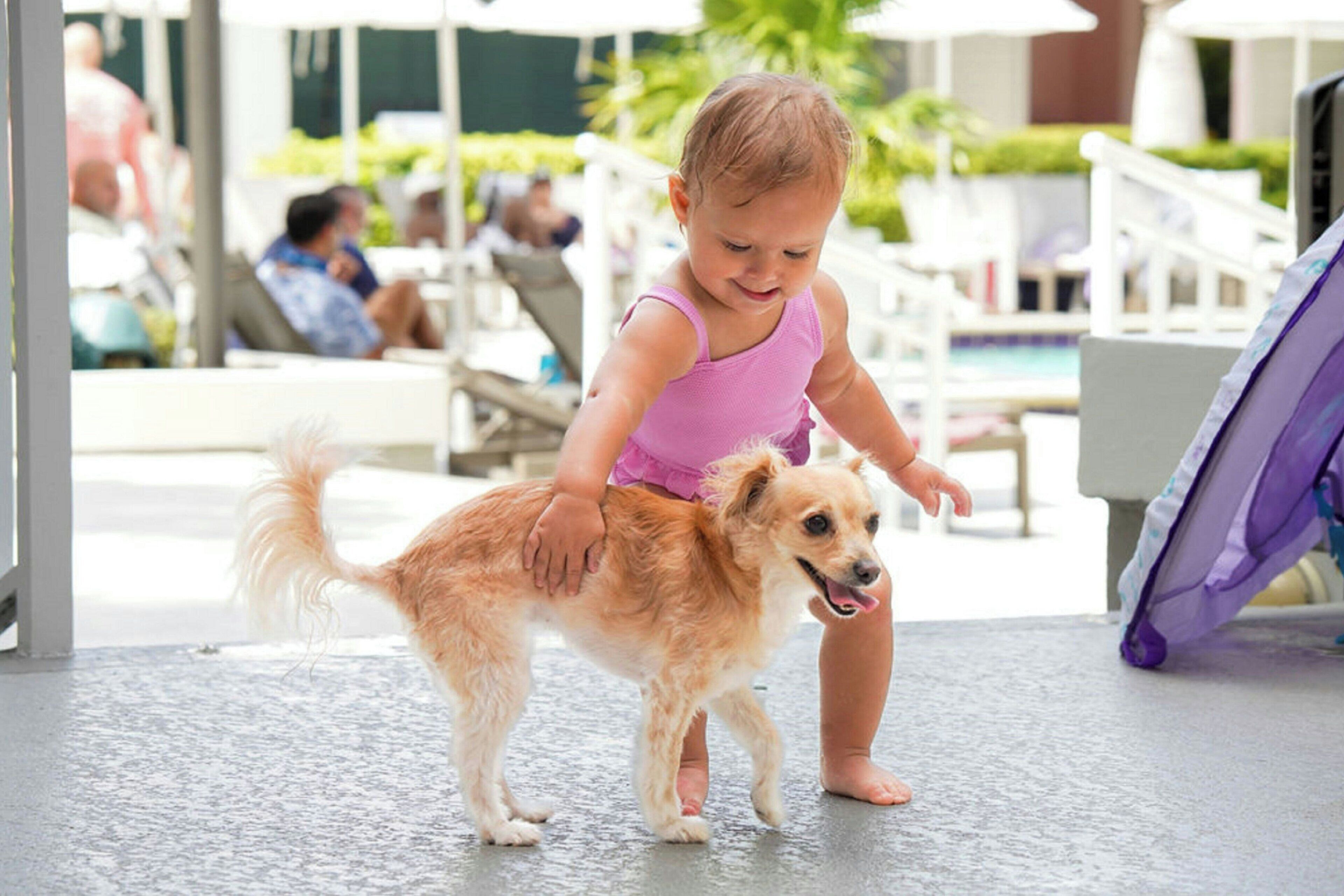 A child in a pink top interacting with a dog near a poolside area with lounge chairs and umbrellas.
