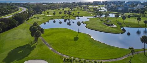 Un campo de golf con obstáculos acuáticos, bunkers de arena y palmeras.