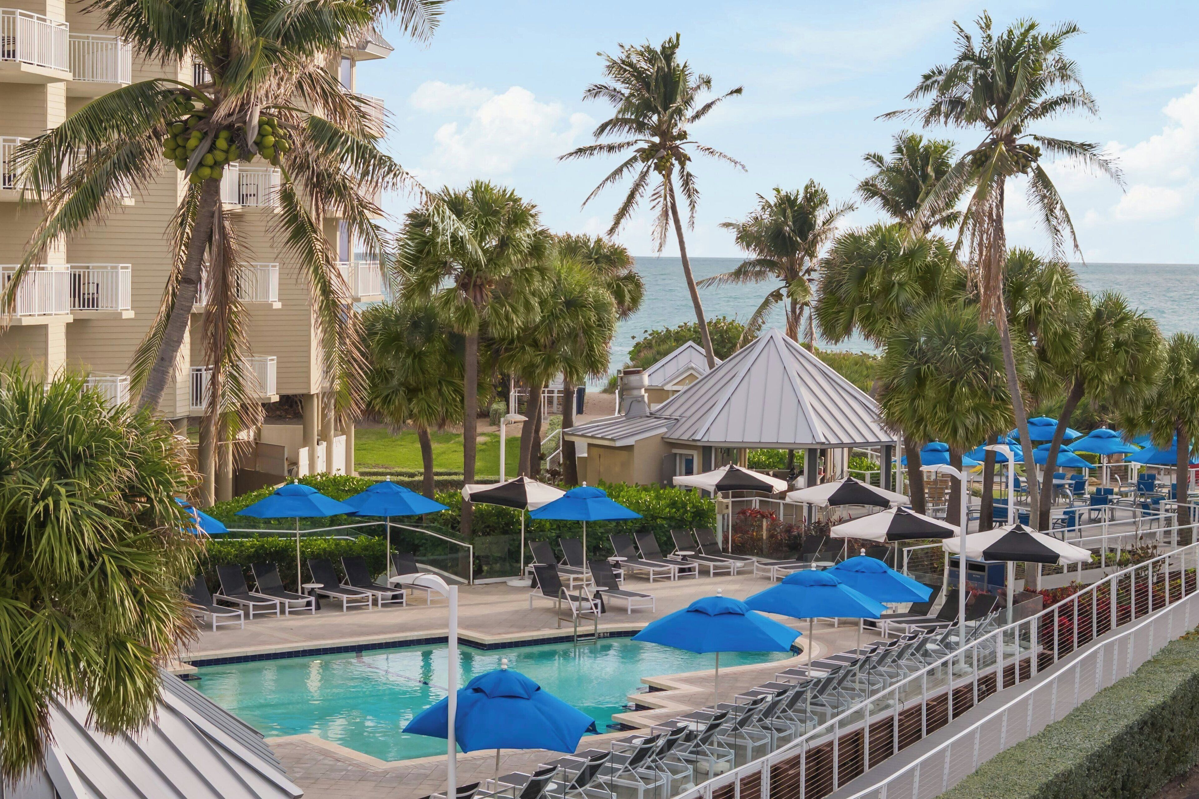 A poolside area with lounge chairs and umbrellas, surrounded by palm trees and a view of the ocean.