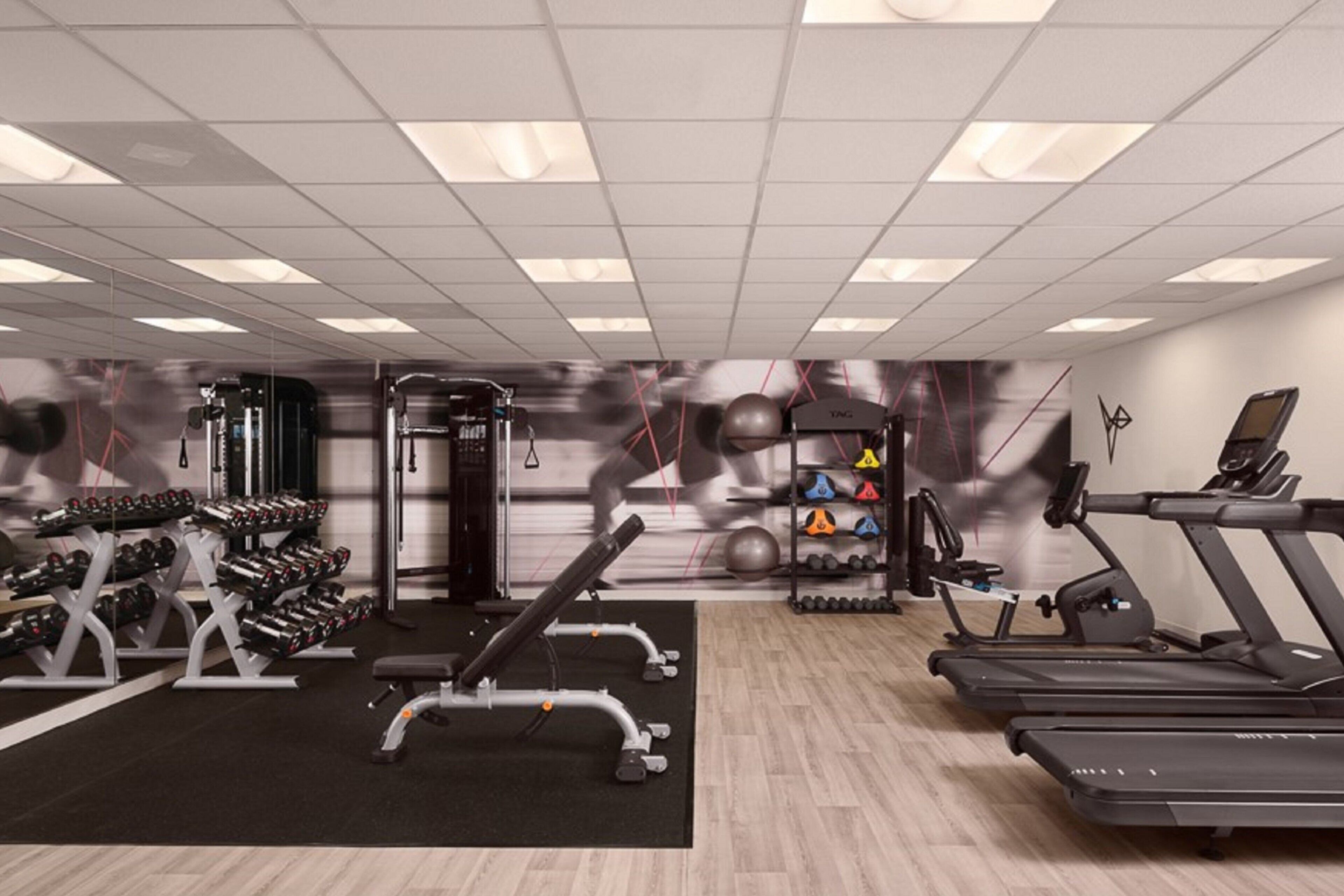 A gym with treadmills, dumbbells, and weight machines.