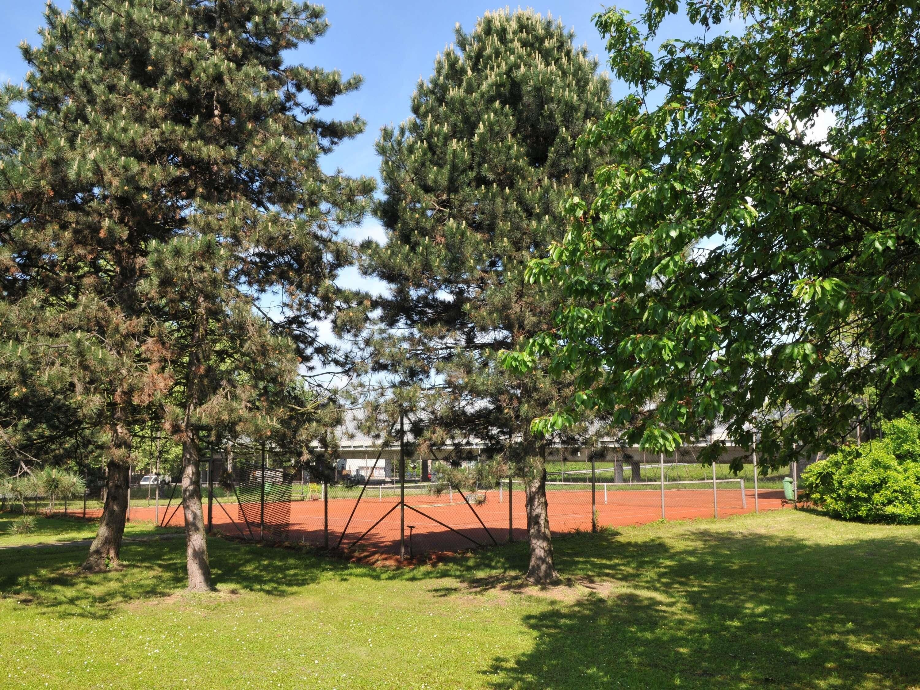 A tennis court surrounded by trees and grass.