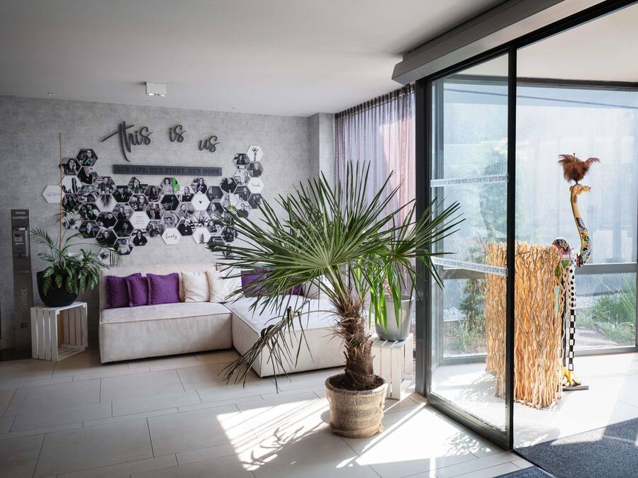 Una sala de estar moderna con un sofá gris, una planta grande en maceta y una pared decorada con marcos hexagonales para fotos.