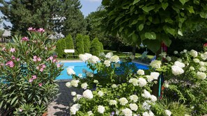 A swimming pool surrounded by lush greenery and flowering plants.