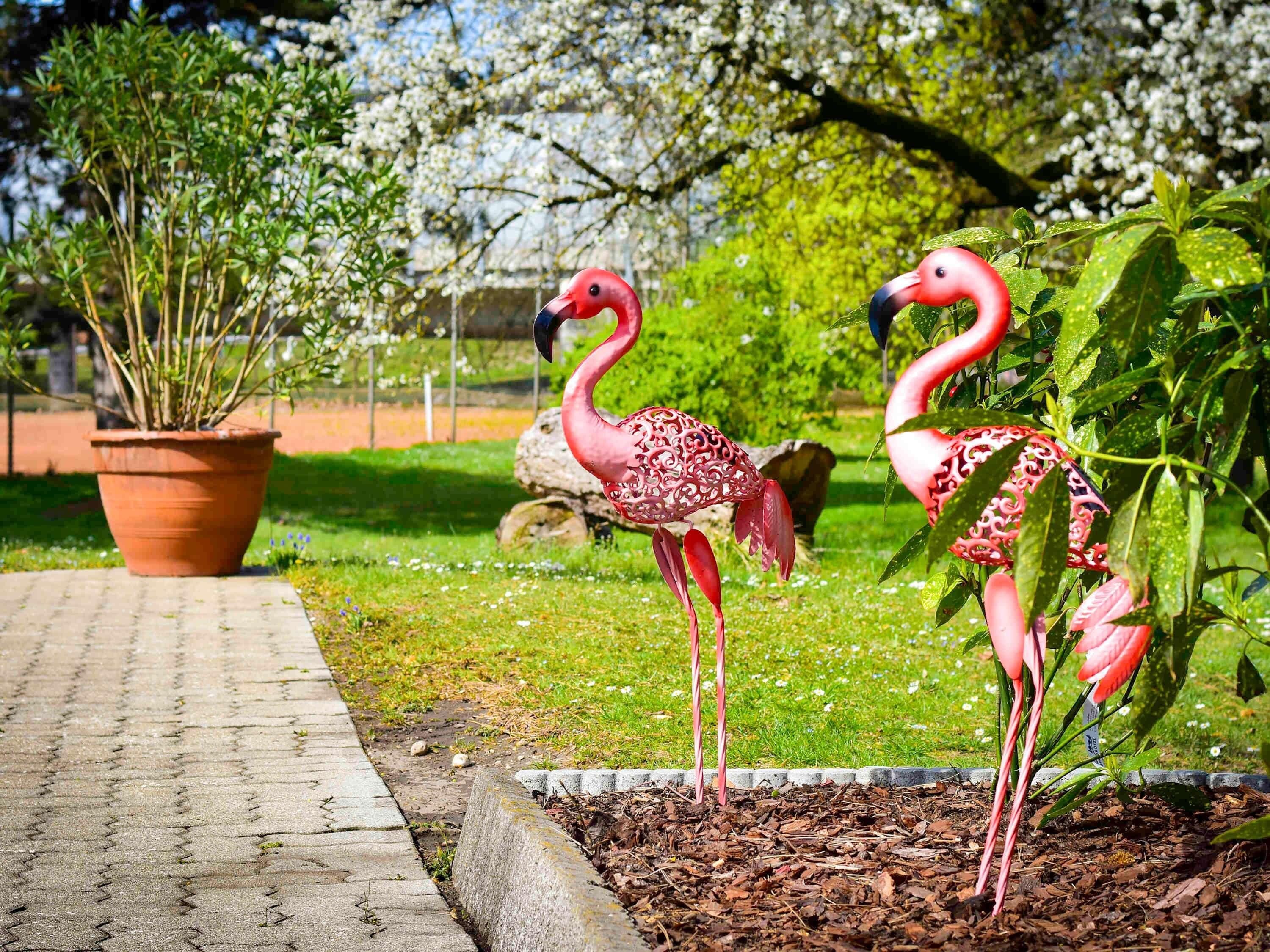 To flamingoer står i en have med en potteplante og en brobelagt sti.