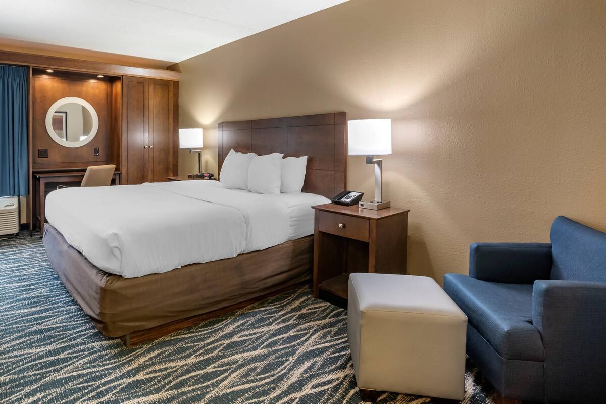 Standard Room, 1 King Bed, Non Smoking | Desk, blackout drapes, iron/ironing board, WiFi (free)