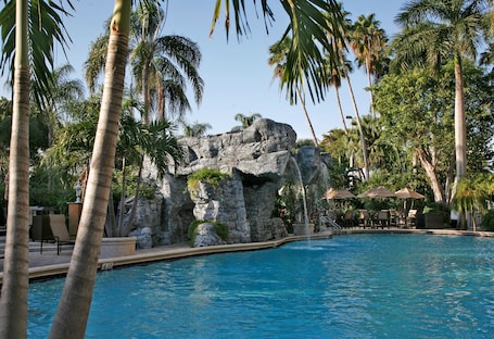 Actividades para niños