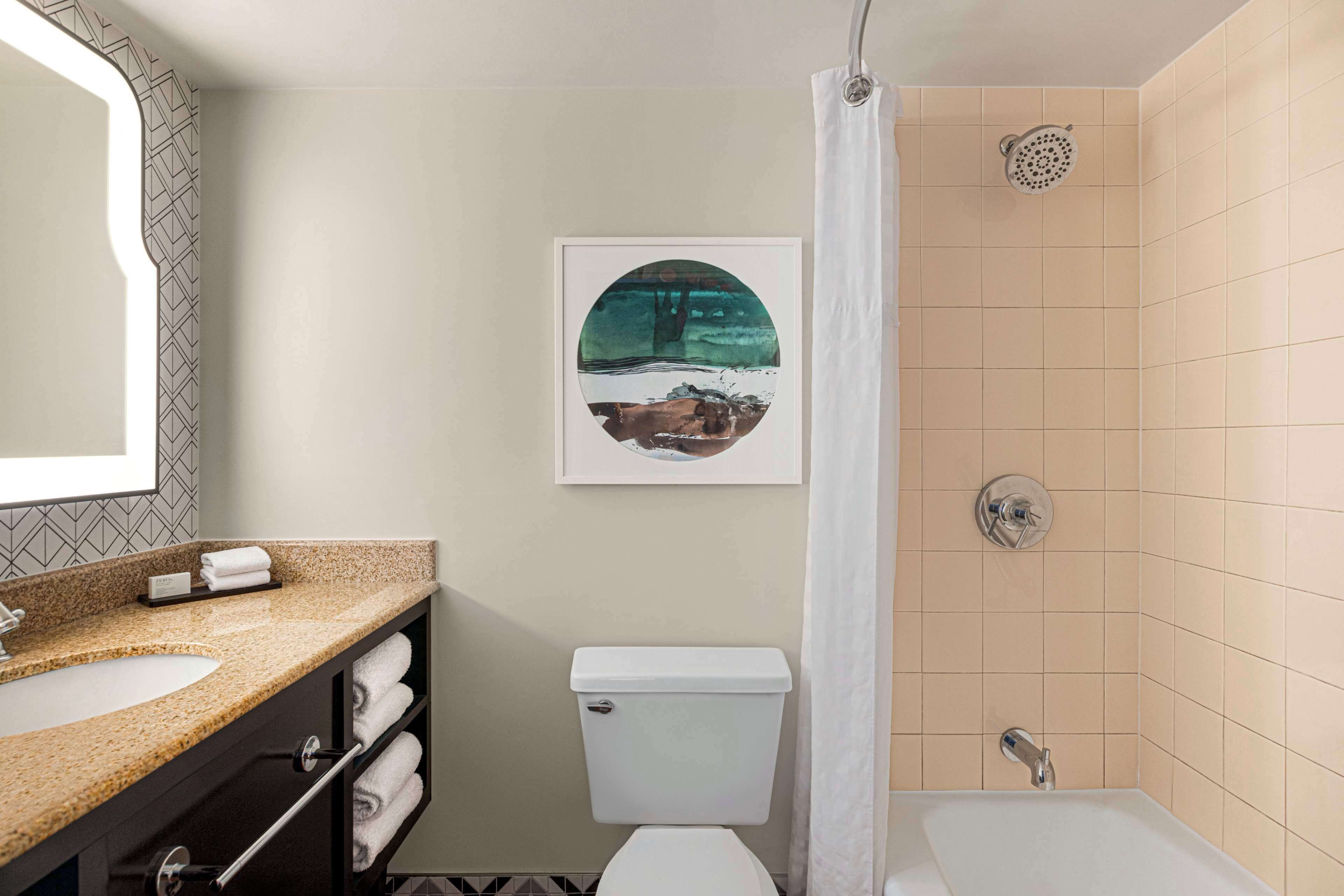 A bathroom with a sink, toilet, shower, and a framed picture on the wall.