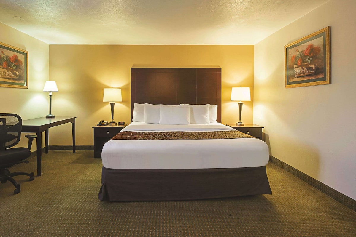 Room, 1 King Bed, Non Smoking | Premium bedding, desk, blackout curtains, soundproofing