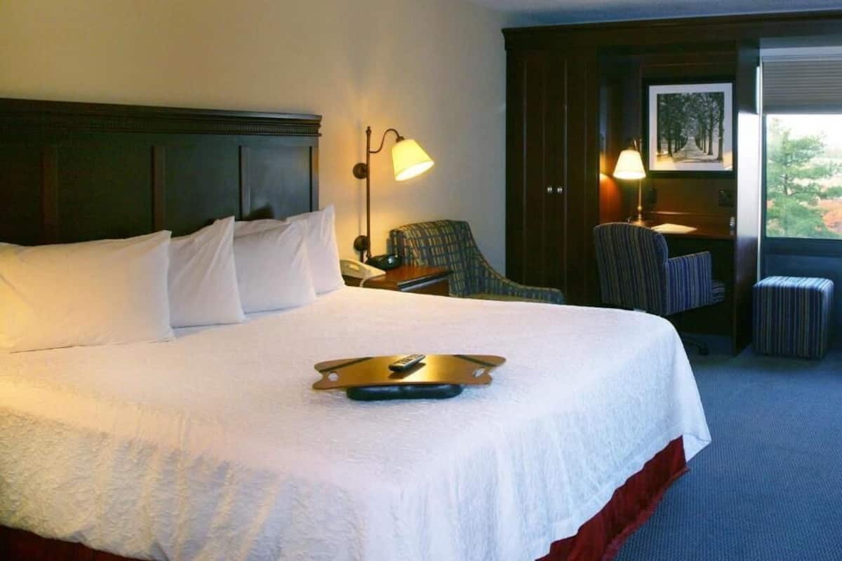 Hypo-allergenic bedding, desk, laptop workspace, blackout drapes