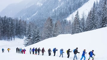 A group of people cross-country skiing on a snowy slope with trees and mountains in the background.