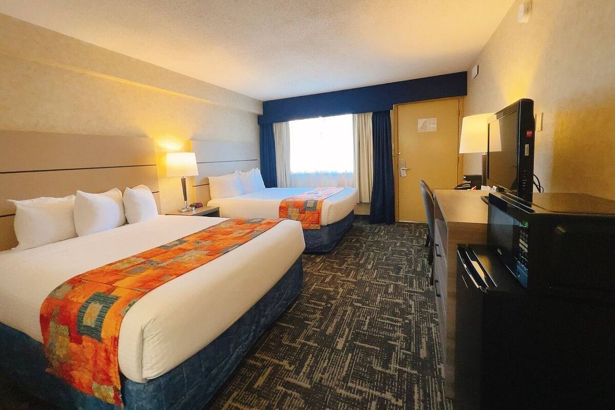 Kamar Standar, 2 Tempat Tidur Queen | Seprai premium, tempat tidur Select Comfort, dan meja kerja