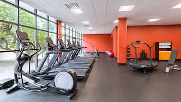 A gym with treadmills, elliptical machines, and exercise balls.