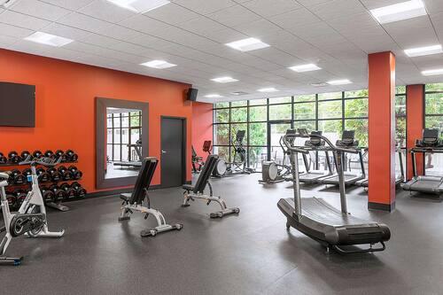 Sala de fitness