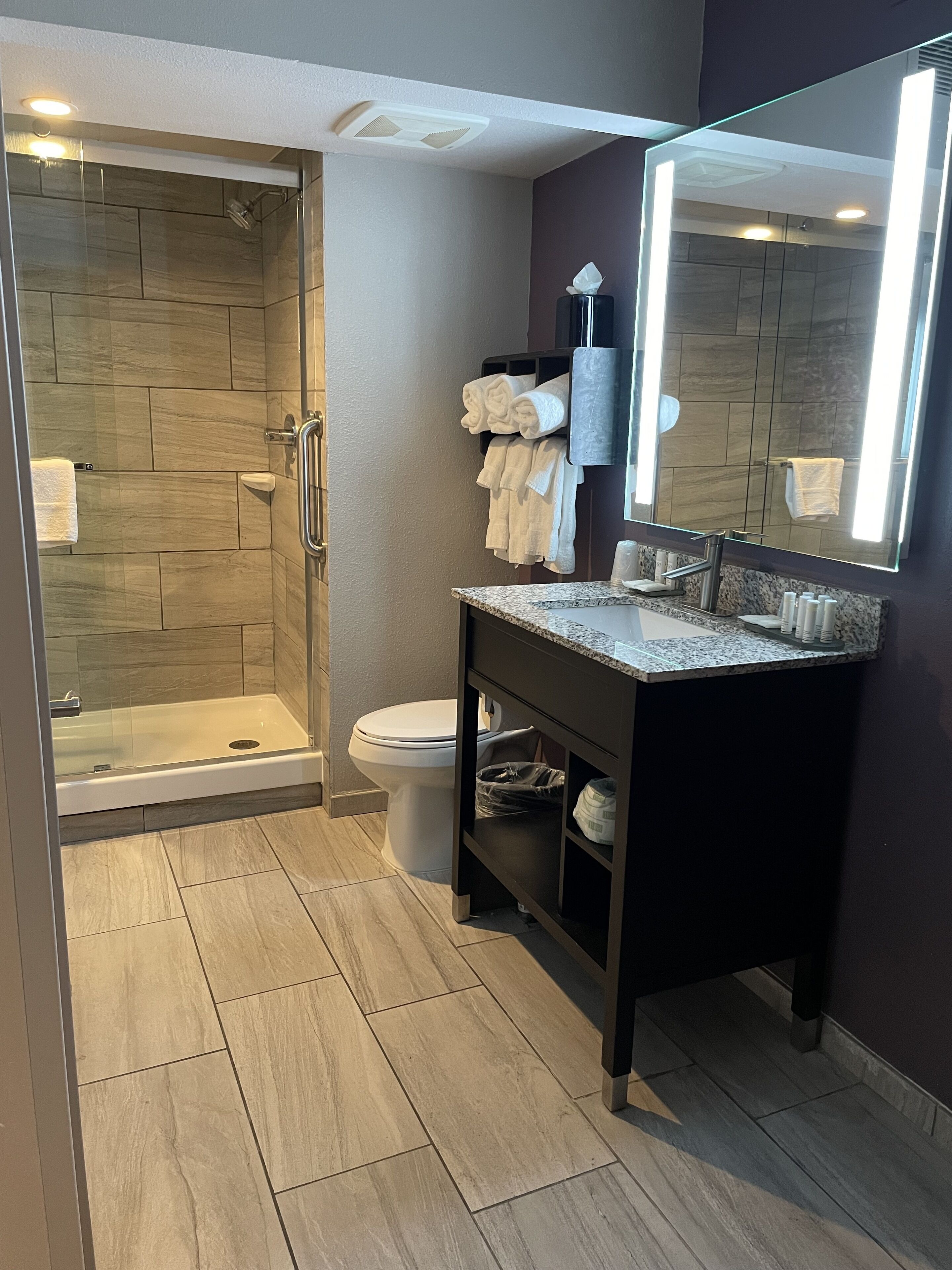 shower, free toiletries, hair dryer, towels