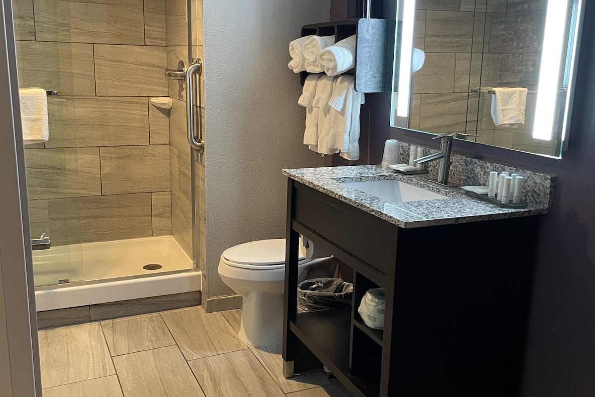 shower, free toiletries, hair dryer, towels