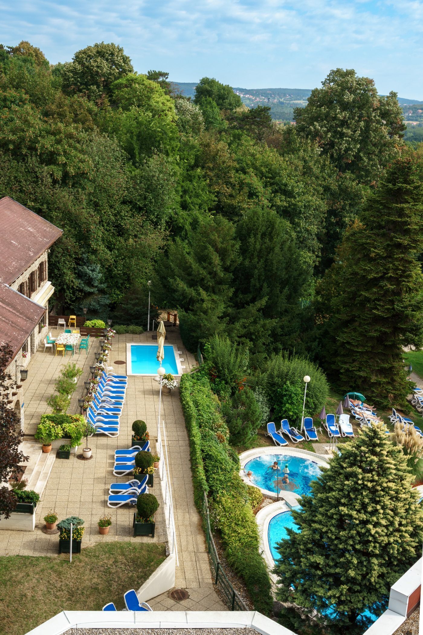 Área de piscina en la azotea con sillones de descanso, una piscina y vegetación circundante.