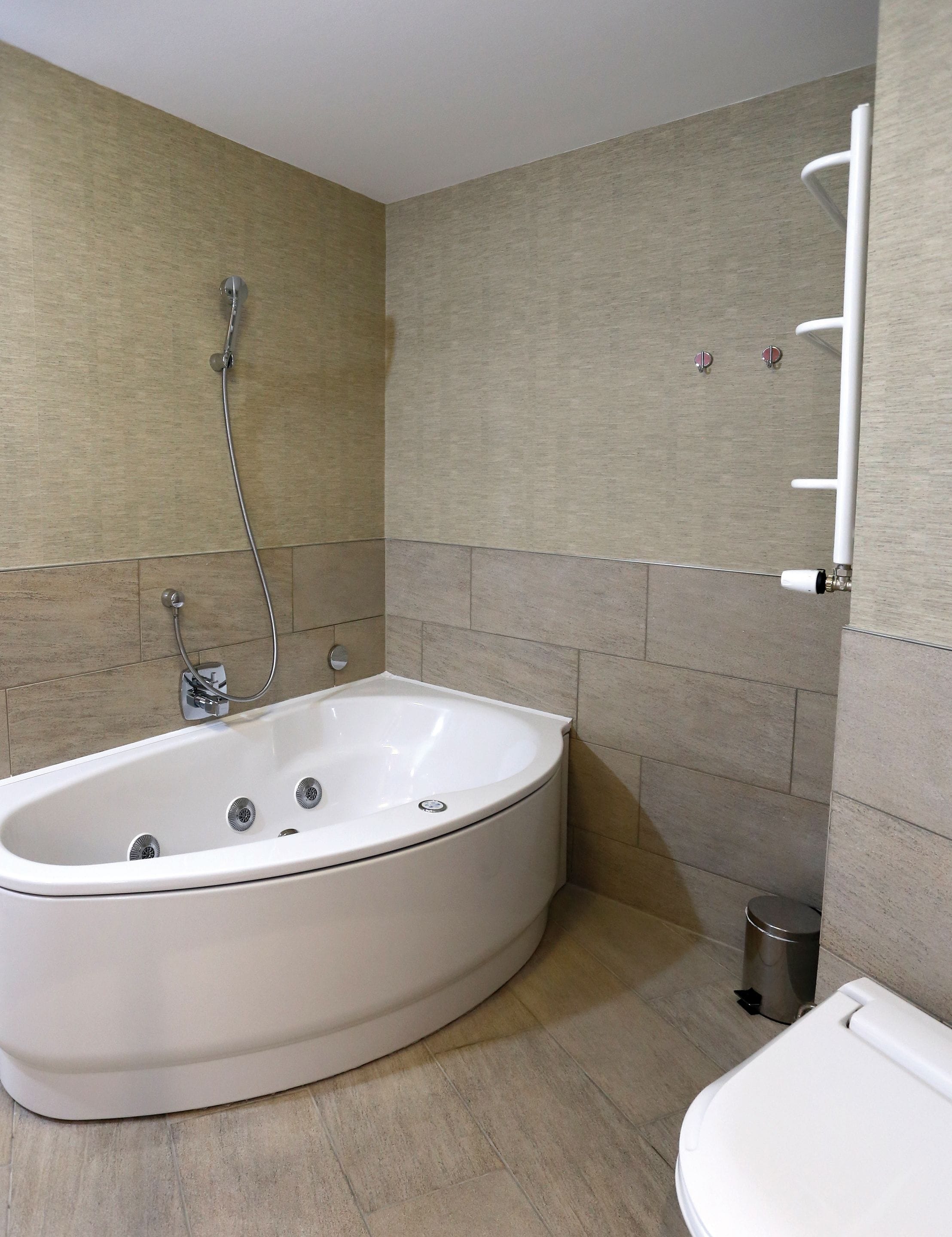 A modern bathroom with a freestanding bathtub, a toilet, and a shower area.