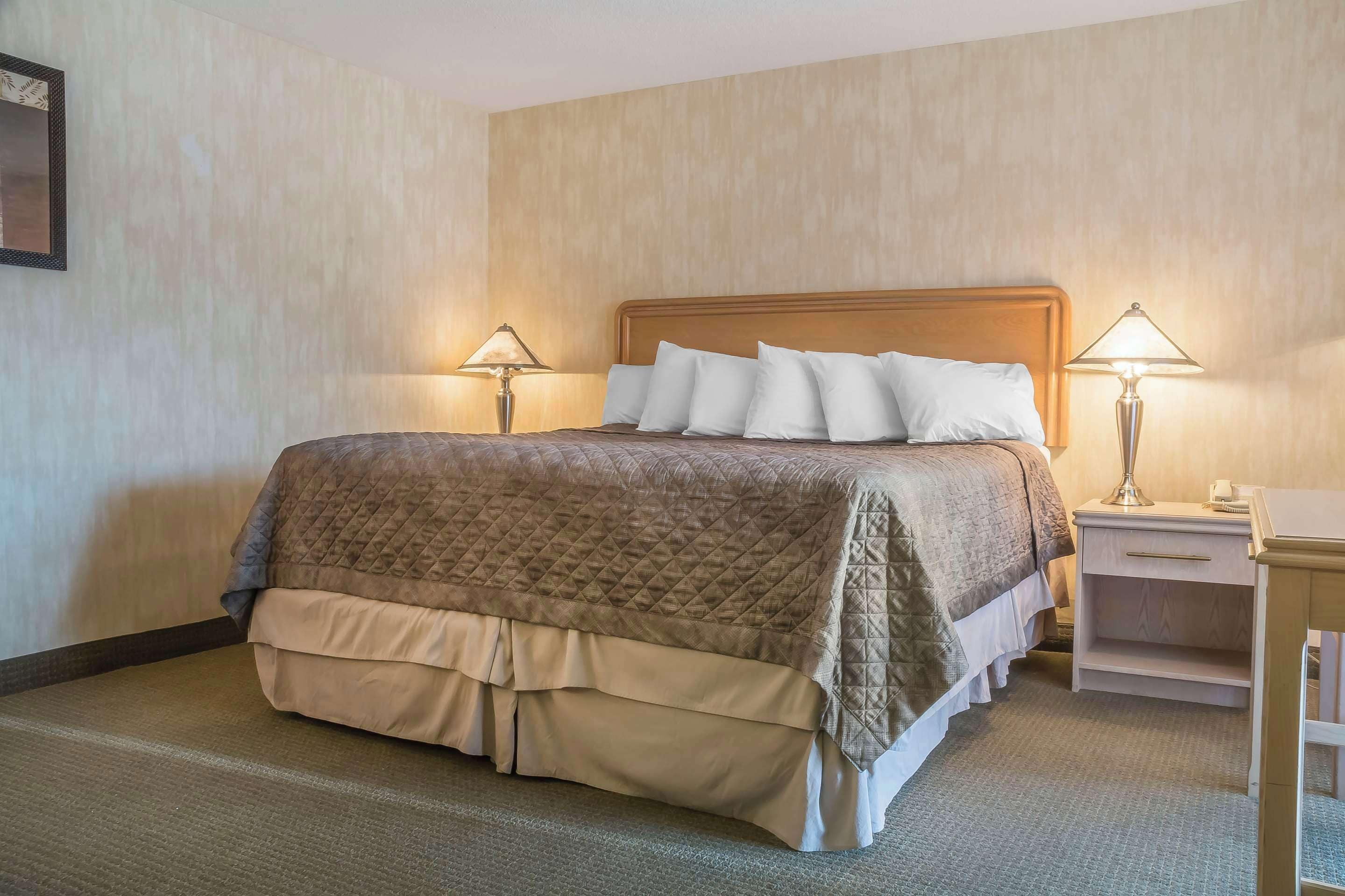 Standard Room, 1 King Bed, Non Smoking | Desk, laptop workspace, blackout drapes, iron/ironing board