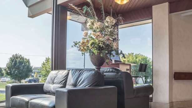 A modern interior with leather sofas, a large window, and a potted plant. - Rodeway Inn Fallsview (Niagara Falls)