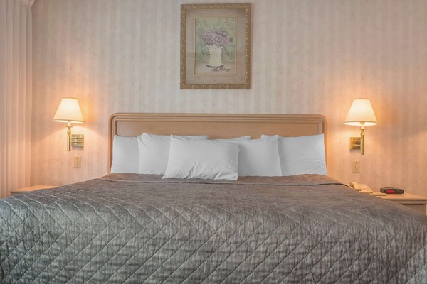 Standard Room, 1 King Bed, Non Smoking | Desk, laptop workspace, blackout drapes, iron/ironing board (on request)