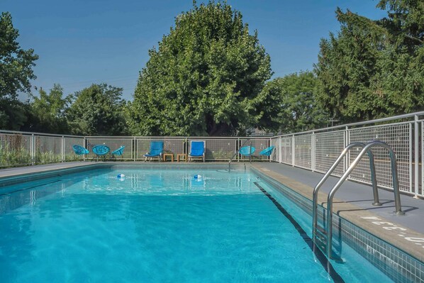 Seasonal outdoor pool, sun loungers