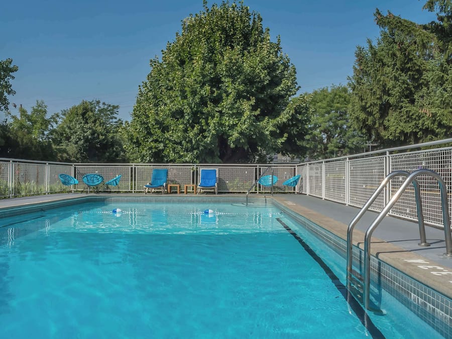 Seasonal outdoor pool, pool loungers