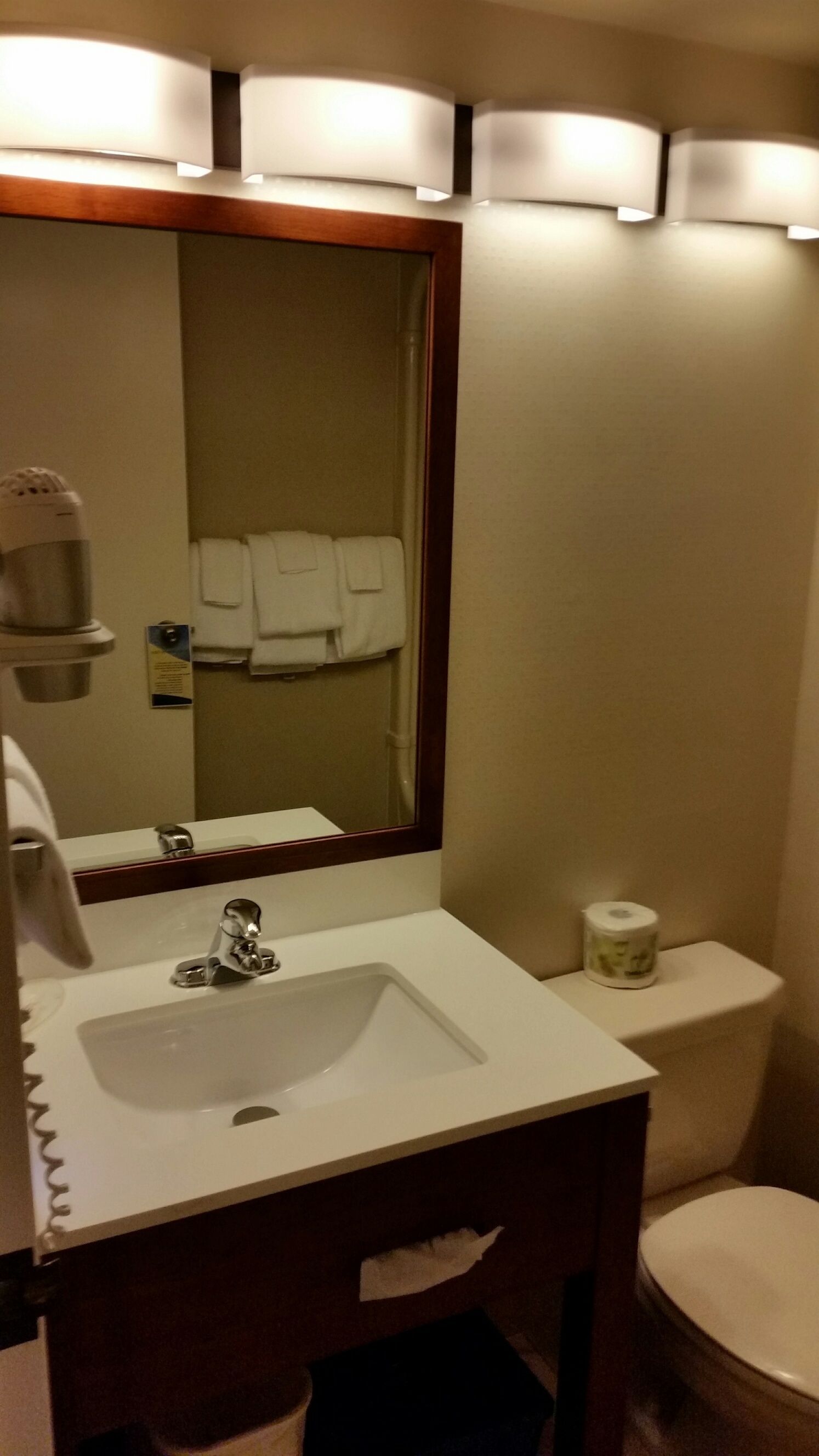 A bathroom with a white sink, a mirror, a toilet, and a roll of toilet paper on the wall.