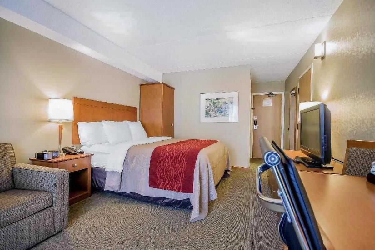 Una habitación de hotel con una cama, un escritorio con televisor, una silla y una mesita de noche con lámpara.