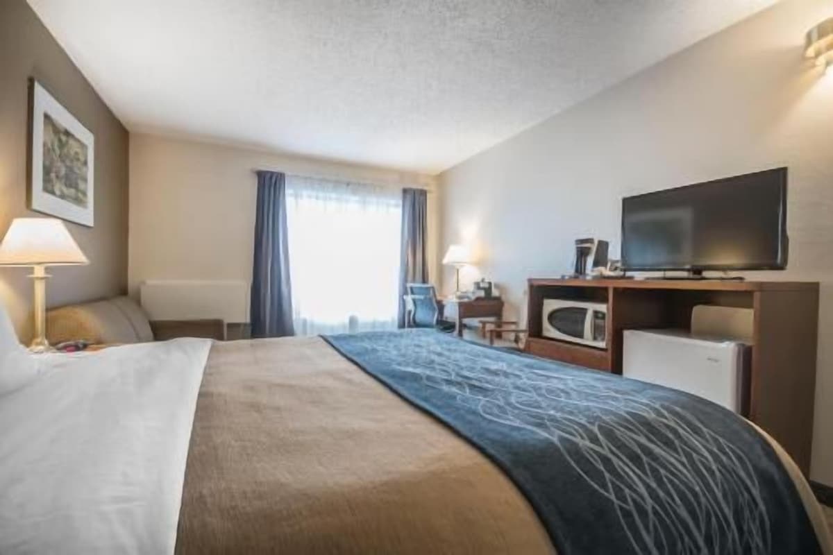 Una habitación de hotel con cama, escritorio con televisor, microondas y una silla.